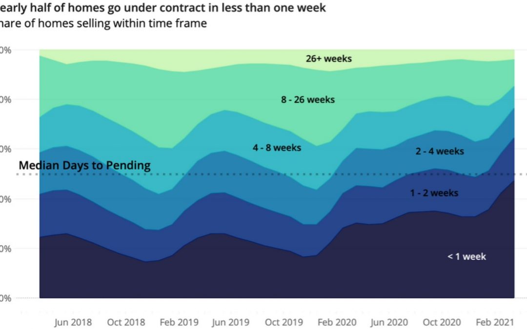 Weekly Newsletter: The 3-1-1